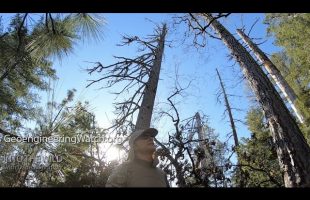 Chemically Nucleated Winter Weather ( Geoengineering Watch )