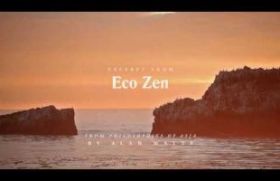 Alan Watts | Philosophies of Asia | Eco Zen (“I am an Entertainer” excerpt)