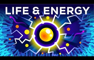 Why Are You Alive – Life, Energy & ATP