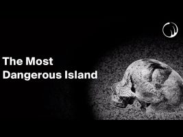 The Last Uncontacted Island