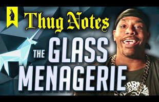 The Glass Menagerie (Tennessee Williams) – Thug Notes Summary & Analysis