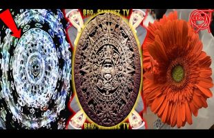 CERN, Schumann Resonance & Flower of Life: Ancient Secrets of Existence REVEALED