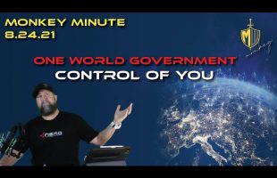 Monkey Minute 8 24 21