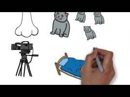 THE POWER OF HABIT by Charles Duhigg – ANIMATED BOOK REVIEW