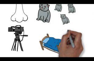 THE POWER OF HABIT by Charles Duhigg – ANIMATED BOOK REVIEW