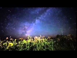 Terence McKenna – Departure For The Stars