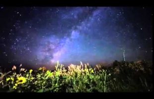 Terence McKenna – Departure For The Stars