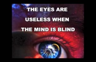The world and its double [excerpt] (Terence Mckenna)