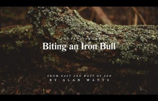 Alan Watts | East & West of Zen | Biting an Iron Bull (excerpt)