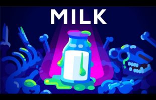 Milk. White Poison or Healthy Drink?