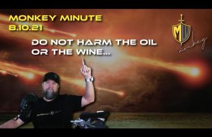 Monkey Minute 8 10 21