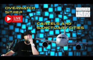Live Overwatch SITREP