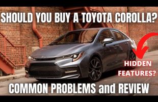 Should you buy a Toyota Corolla? Review and Common Problems
