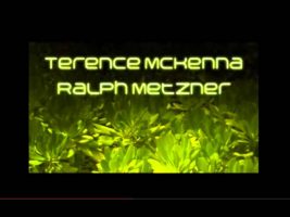 Human impulsivity and addictions (Terence Mckenna)
