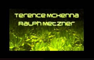 Human impulsivity and addictions (Terence Mckenna)