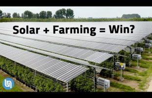 Solar Panels Plus Farming? Agrivoltaics Explained