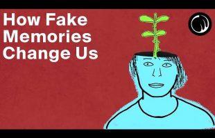 The False Memory Effect – How Fake Memories Change Us