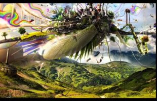 Appreciating the Imagination Workshop (Terence Mckenna)