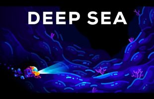 What’s Hiding at the Most Solitary Place on Earth? The Deep Sea