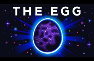 The Egg – A Short Story