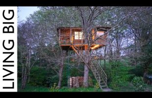 Could this Tree House in France be the Ultimate Retirement Project?
