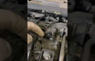 This could damage your car if you don’t take action! #shorts
