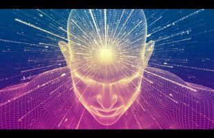 Consciousness is King