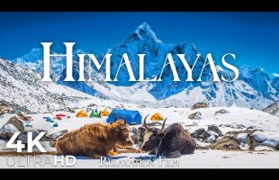 Himalayas 4K • A Journey Above the Clouds | Relaxation Film