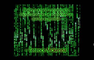 Hacking Reality (Terence Mckenna)