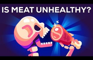Is Meat Bad for You? Is Meat Unhealthy?
