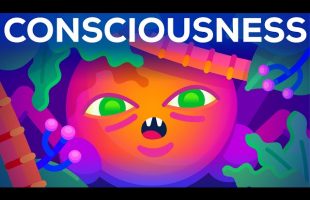 The Origin of Consciousness – How Unaware Things Became Aware