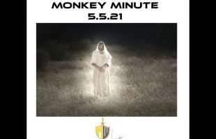 Monkey Minute 5 5 21