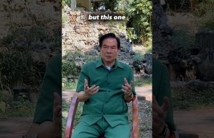 What will happen if you practice for 40 days after energy transmission? Master Chia explains #tao