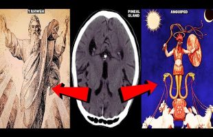 YAHWEH the PINEAL GLAND & Jesus the Anguiped: Ancient AI SIMULATION
