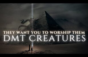 Are DMT entities dangerous and what did the Ancient Egyptians Know?