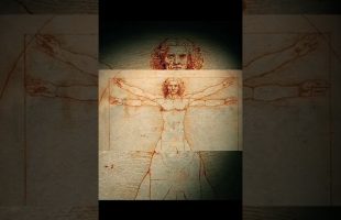 Were the Ancient Egyptians Black, White or Alien?