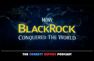 How BlackRock Conquered the World