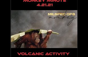 Monkey Minute 4 21 21