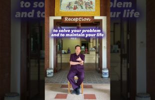 Use the lower mind to solve your problems. Wisdom coming from the lower Tan Tien #tao #mantakchia