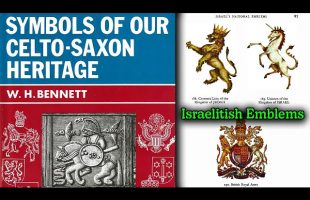 Symbols Of Our Celto Saxon Heritage / Israelite Heraldic, Tribal, & Brigade Emblems / Book Read