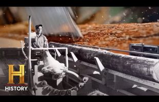How a Camping Trip Brought Us Charcoal BBQs | History Honors 250