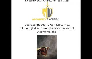 MONKEY MINUTE for 3 17 21