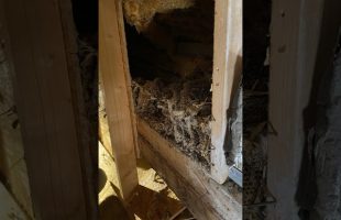 The Bee House #america #construction