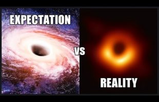 Hypothesis