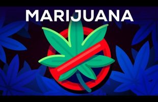 3 Arguments Why Marijuana Should Stay Illegal Reviewed