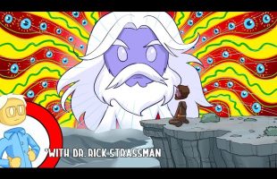 DMT and the Soul of Prophecy! (Ft. Rick Strassman)