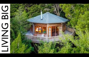 The Ultimate Forest Escape – A Spectacular Treehouse Airbnb