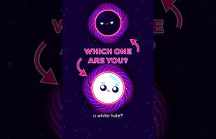 Which One Are You?