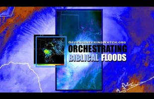 Orchestrating Biblical Floods, 90 Second Alert