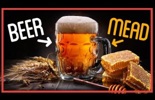 How To Drink Braggot Beer Like a VIKING